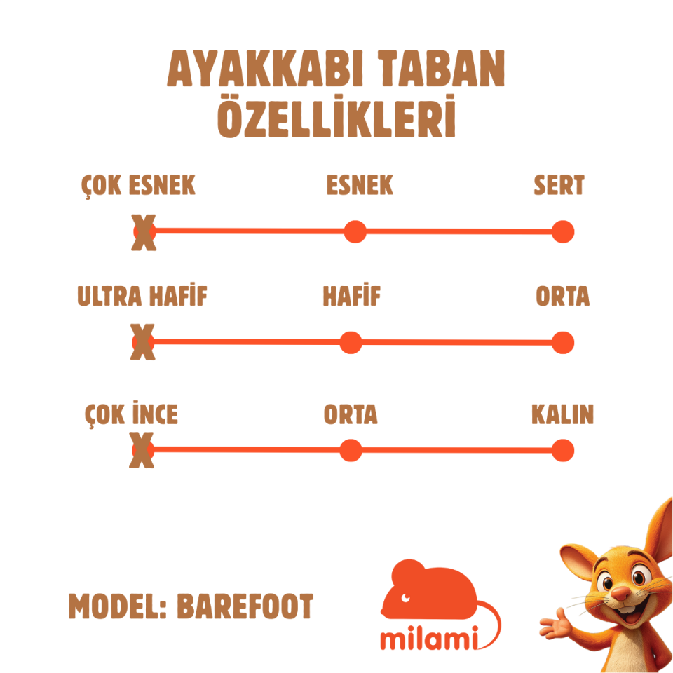 Barefoot Taban Kalp ve Arı Desenli Model BF4-ZAB64-02A